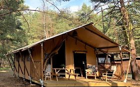 Camp Bursztynowy Las
